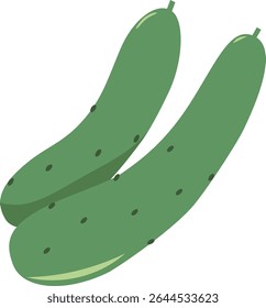 Cucumber summer vegetable vector illustration