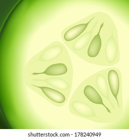 cucumber texture in detail view illustration