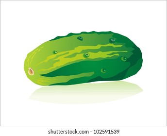 Cucumber vector