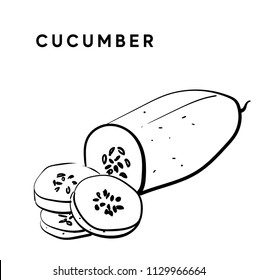Cucumber. Vector black and white illustration of a cucumber. Cucumber juice is an ingredient for cosmetics. Sketch