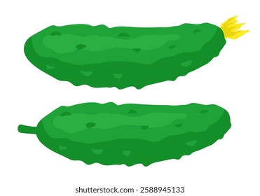 Cucumber. Vector clipart isolated on white background.