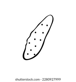 Cucumber vector drawing icon. Simple clip art vegetable in doodle style, outline illustration of farm product
