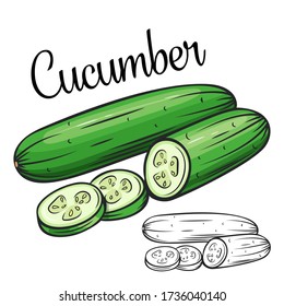 Cucumber vector drawing icon. Vegetable in retro style, outline illustration of farm product for design advertising products shop or market.