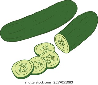 cucumber vector with green color on white background