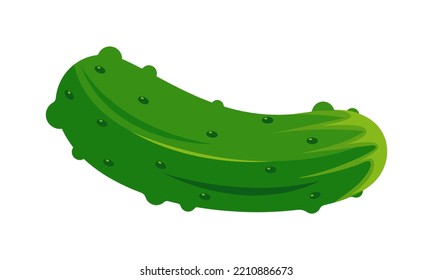 Cucumber vector. Green cucumber vegetable icon. Isolated on white background.