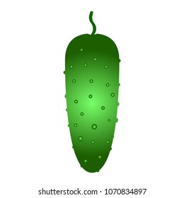 Cucumber vector icon