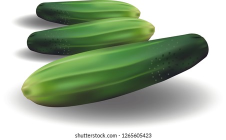 Cucumber vector icon isolated on white background. Series of food and drink and ingredients for cooking ,Vector illustration cartoon flat icon isolated on white. - Vector 