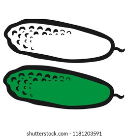 Cucumber. Vector illustration