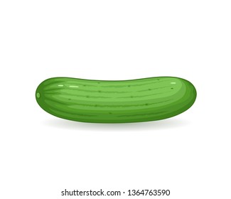 Cucumber vector illustration