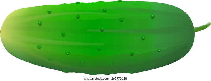 cucumber, vector illustration