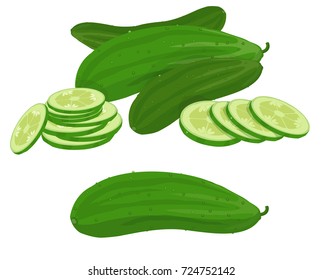 cucumber vector illustration