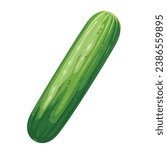 Cucumber vector illustration. Cartoon isolated top view of one whole vegetable, organic harvest cultivated in greenhouse or agriculture garden, long green juicy cucumber for cooking and eating