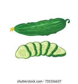 Cucumber vector illustration isolated on white background. Cucumber cut on thin slices.