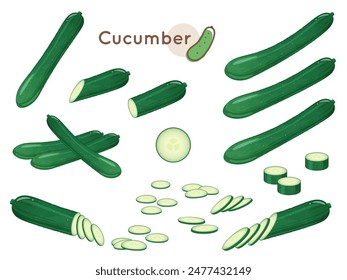 Cucumber vector illustration material set