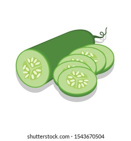 Cucumber vector illustration on a white background.