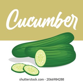 cucumber vector illustration with section , beautiful square background design