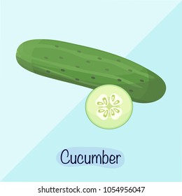 Cucumber vector illustration, vegetable slices design concept. Cucumber cut flat design.