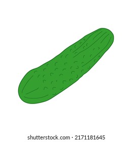 Cucumber Vector Illustration. Cucumber vegetables isolated on white background. Product on the agricultural market.