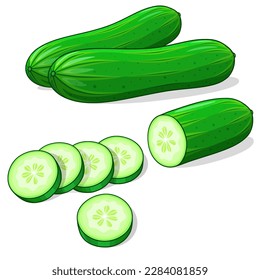 Ilustración vectorial de pepino. Ilustración vectorial integral y cortada・pepino.