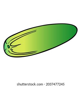 cucumber vector illustration,isolated on white background,top view