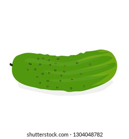 Cucumber vector isolated on white background.