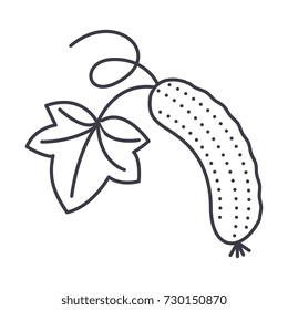 cucumber vector line icon, sign, illustration on white background, editable strokes