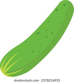 Cucumber vector. Cucumber on white background.