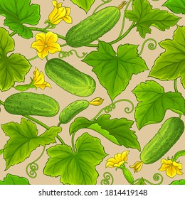cucumber vector pattern on color background