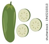 Cucumber Vector, Perfect for illustration, logo, icon, background, Etc.
