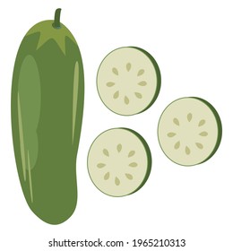 Vector Cucumber, Perfecto para ilustración, logotipo, icono, fondo, Etc.