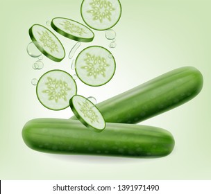 Cucumber Vector realistic. Fresh tasty slices vegetable detailed 3d illustrations