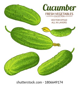 cucumber vector set on white background