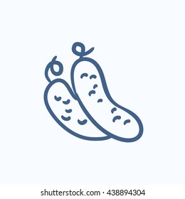 Cucumber vector sketch icon isolated on background. Hand drawn Cucumber icon. Cucumber sketch icon for infographic, website or app.