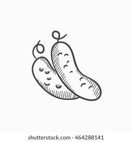 Cucumber vector sketch icon isolated on background. Hand drawn Cucumber icon. Cucumber sketch icon for infographic, website or app.