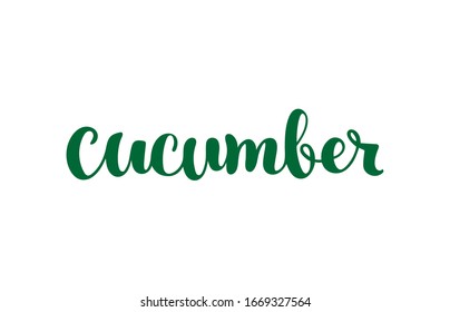 Cucumber vector text, hand drawn lettering