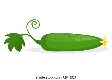 Cucumber (vector version)
