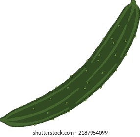 The cucumber is a vegetable. Around 95% of the fruit ingredient were considered to be water, and felt fine with a chewy texture; is tasteful.