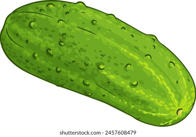 Cucumber Vegetable Colored Detailed Illustration