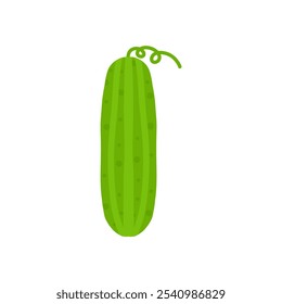 pepino vegetal plano design vetor ilustração. ícone orgânico isolado no fundo branco