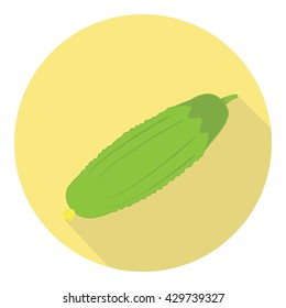 Cucumber Vegetable Fresh Plant Flat Style Design