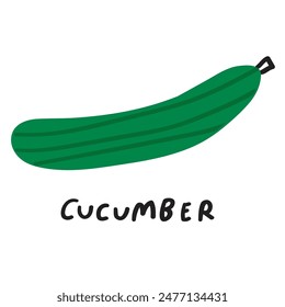 Cucumber. Vegetable. Hand drawn vector design. Illustration on white background.