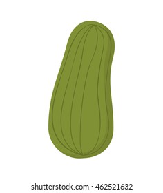 cucumber vegetable health icon vector illustration design
