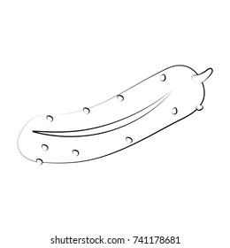 cucumber vegetable icon image 