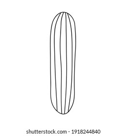 cucumber vegetable icon over white background, line style, vector illustration