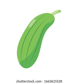 cucumber vegetable icon white background, flat detail style, vector illustration