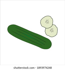 cucumber vegetable. illustration for web and mobile design.