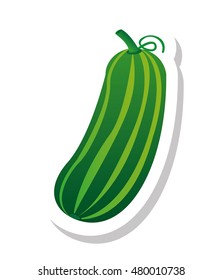 cucumber vegetable isolated icon vector illustration design