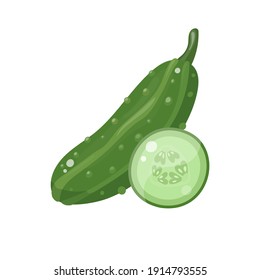 Cucumber vegetable isolated on white background. Cartoon style. Fulll and slice. Vector illustration