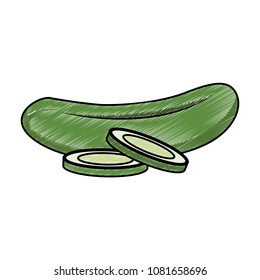 Cucumber vegetable isolated scribble