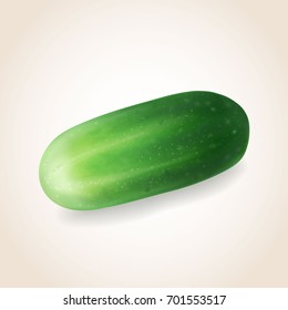 Cucumber vegetable isolated Vector illustration